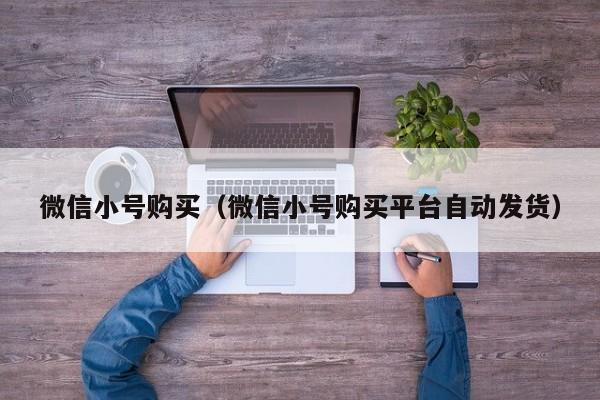 微信小号购买（微信小号购买平台自动发货）