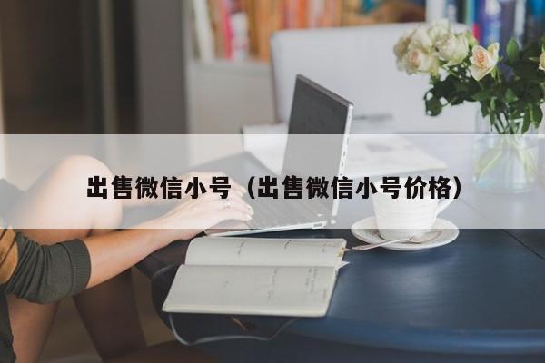 出售微信小号（出售微信小号价格）