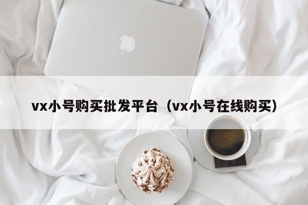 vx小号购买批发平台（vx小号在线购买）