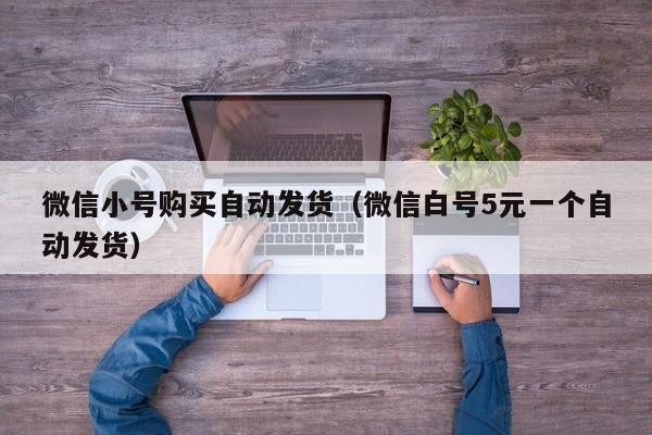 微信小号购买自动发货（微信白号5元一个自动发货）