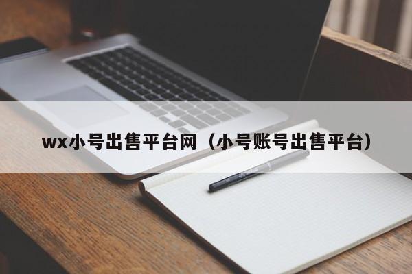 wx小号出售平台网（小号账号出售平台）