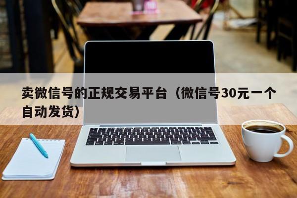 卖微信号的正规交易平台（微信号30元一个自动发货）