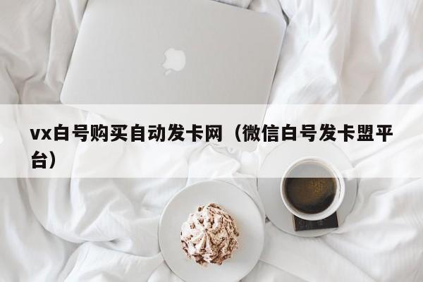 vx白号购买自动发卡网（微信白号发卡盟平台）