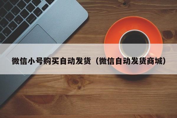 微信小号购买自动发货（微信自动发货商城）