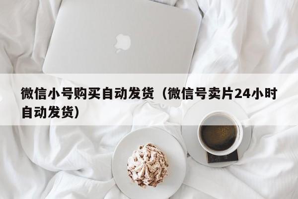 微信小号购买自动发货（微信号卖片24小时自动发货）