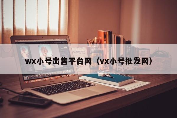 wx小号出售平台网（vx小号批发网）