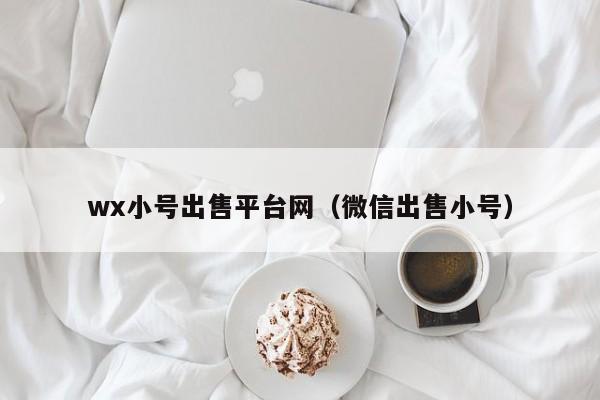 wx小号出售平台网（微信出售小号）