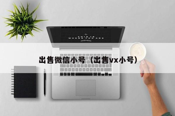 出售微信小号（出售vx小号）